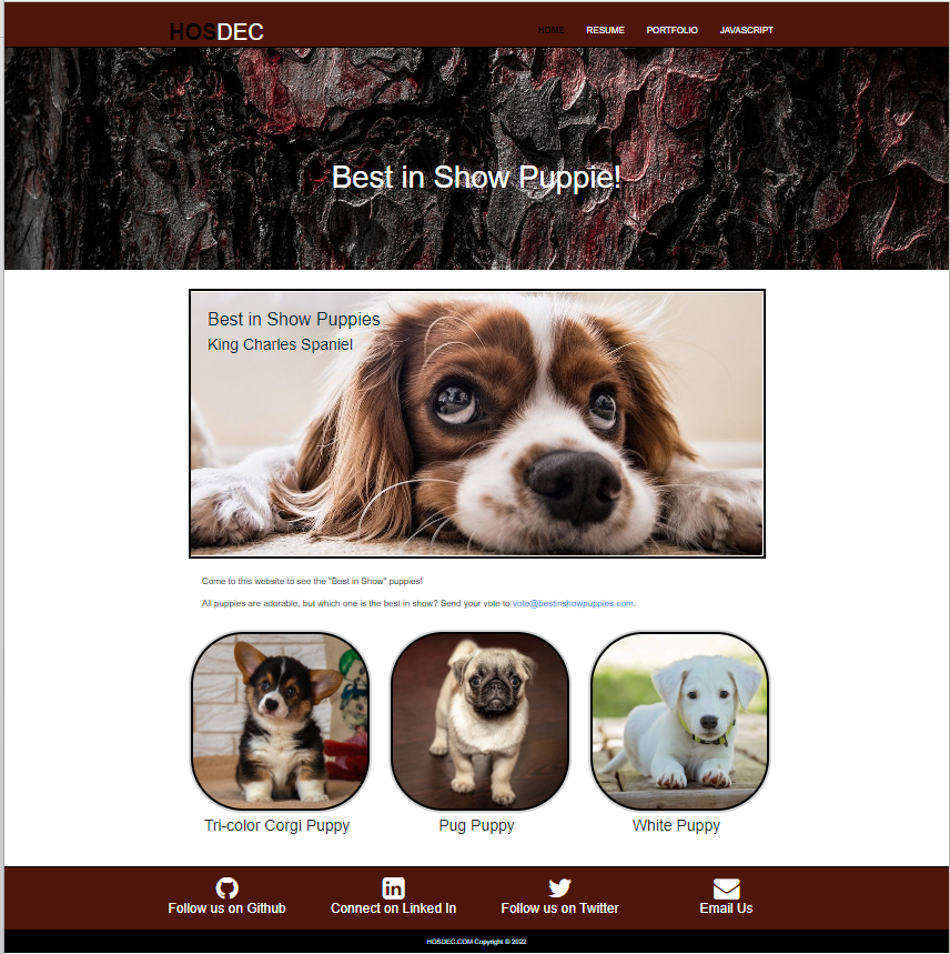 Best in Show Puppies Website